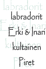 Erki
&
Noora